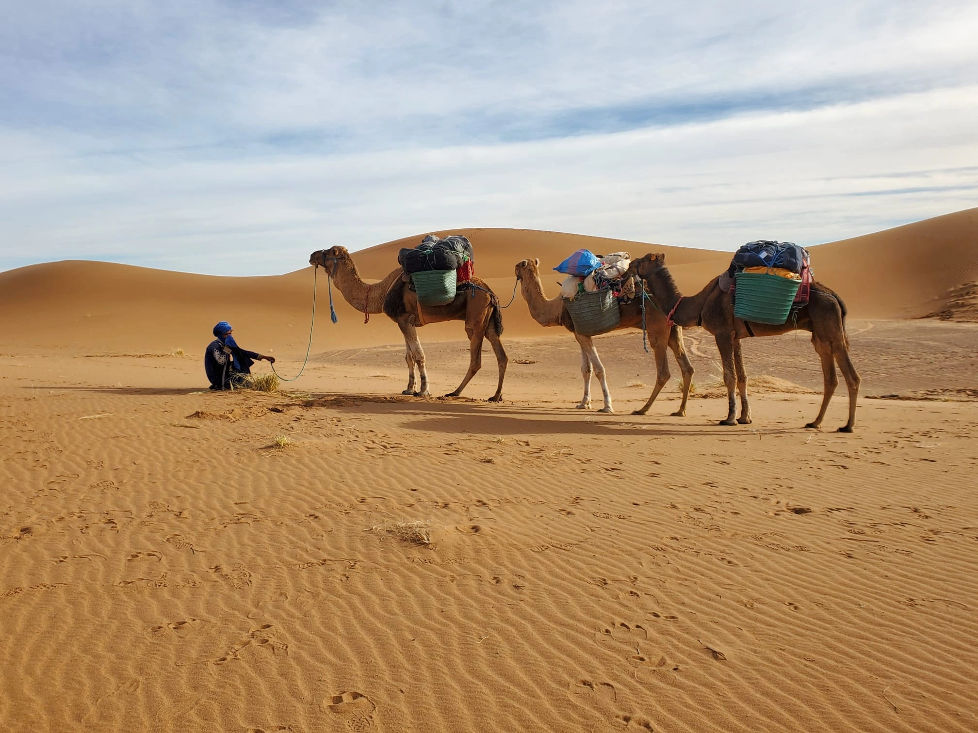 Le Désert du Maroc : voyage au cœur du Sahara marocain