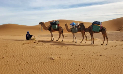 Le Désert du Maroc : voyage au cœur du Sahara marocain